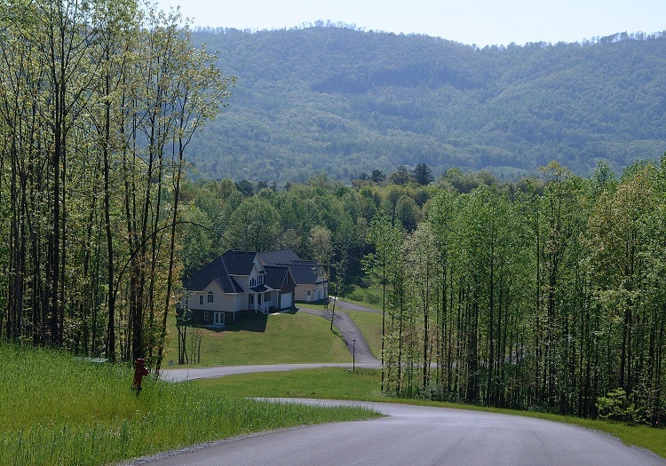 Lot 54 Turtle Rock Ridge Blue Ridge, VA 24064 - Photo 19 of 19 a view of a back yard