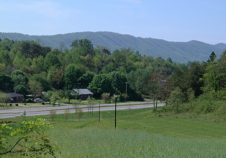 Lot 54 Turtle Rock Ridge Blue Ridge, VA 24064 - Photo 2 of 19 a view of a lush green hillside and a houses