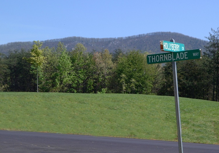 Lot 54 Turtle Rock Ridge Blue Ridge, VA 24064 - Photo 7 of 19 a view of a field with a tree in the background
