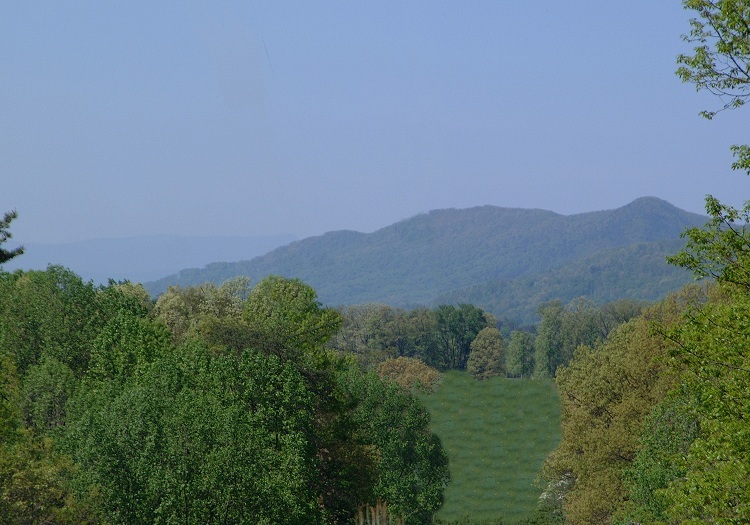 Lot 54 Turtle Rock Ridge Blue Ridge, VA 24064 - Photo 9 of 19 a view of a lush green hillside and a building
