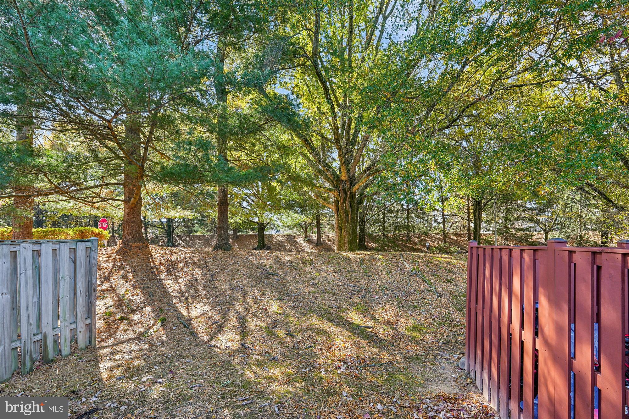 10602 Chisholm Landing Terrace Gaithersburg, MD 20878 - Photo 26 of 46 a view of a backyard with wooden fence and large trees
