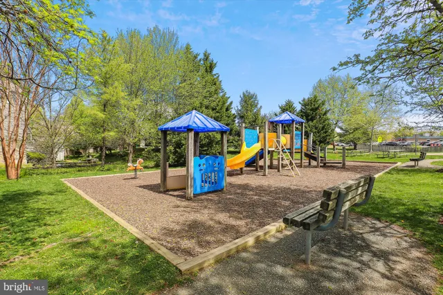 a view of a park with large trees