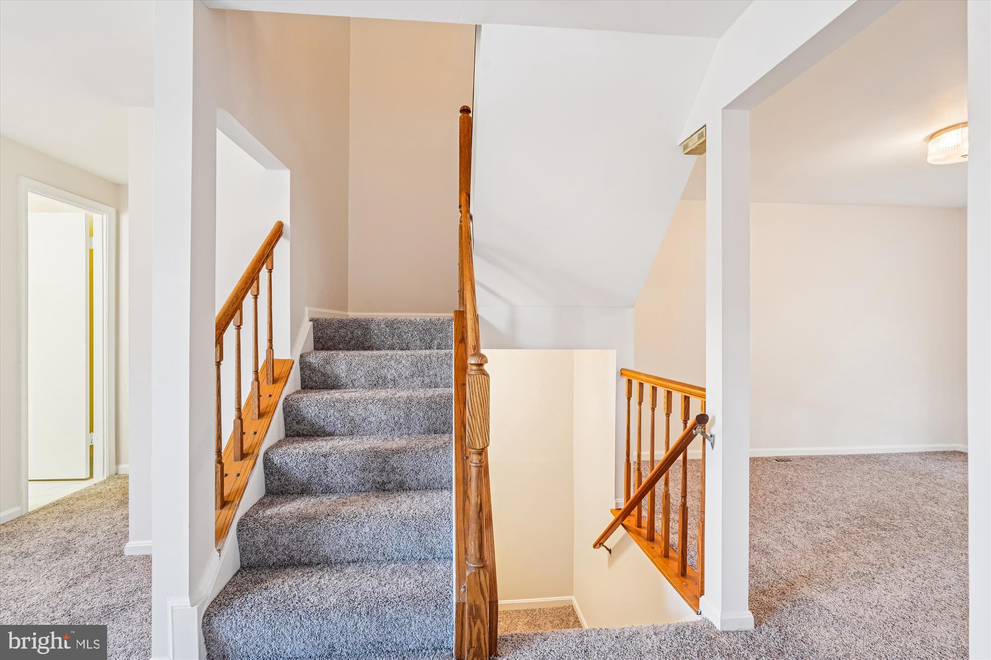 10602 Chisholm Landing Terrace Gaithersburg, MD 20878 - Photo 10 of 46 a view of staircase with railing and a rug