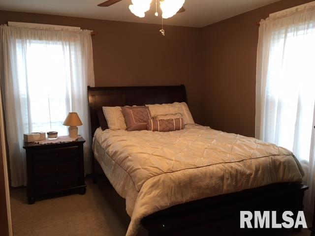 476 South Main Street Canton, IL 61520 - Photo 25 of 36 Gallery Image 25