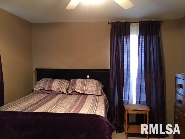 476 South Main Street Canton, IL 61520 - Photo 28 of 36 Gallery Image 28