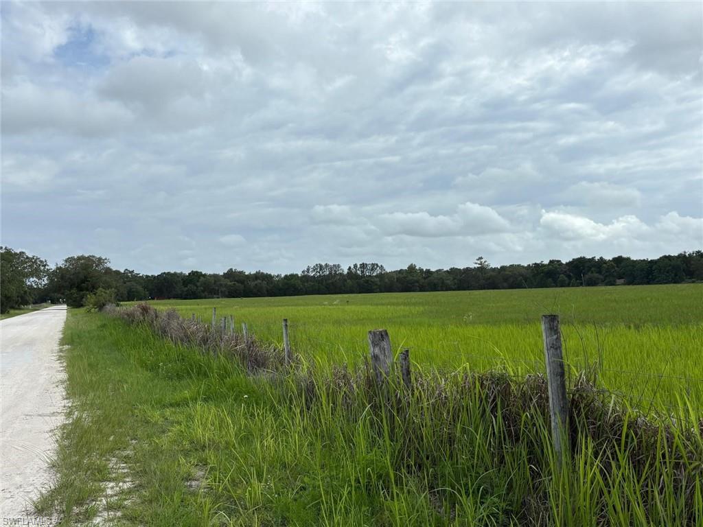 18139 Benes Roush Road Brooksville, FL 34604 - Photo 5 of 9