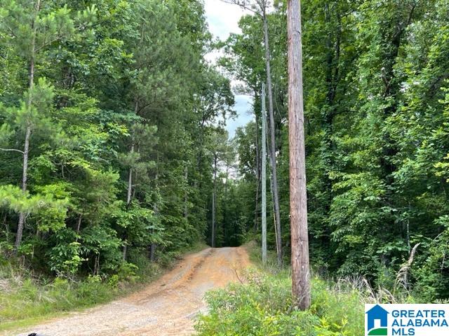 9320 Cedar Hill Road, Unit ONE Warrior, AL 35180 - Photo 4 of 7