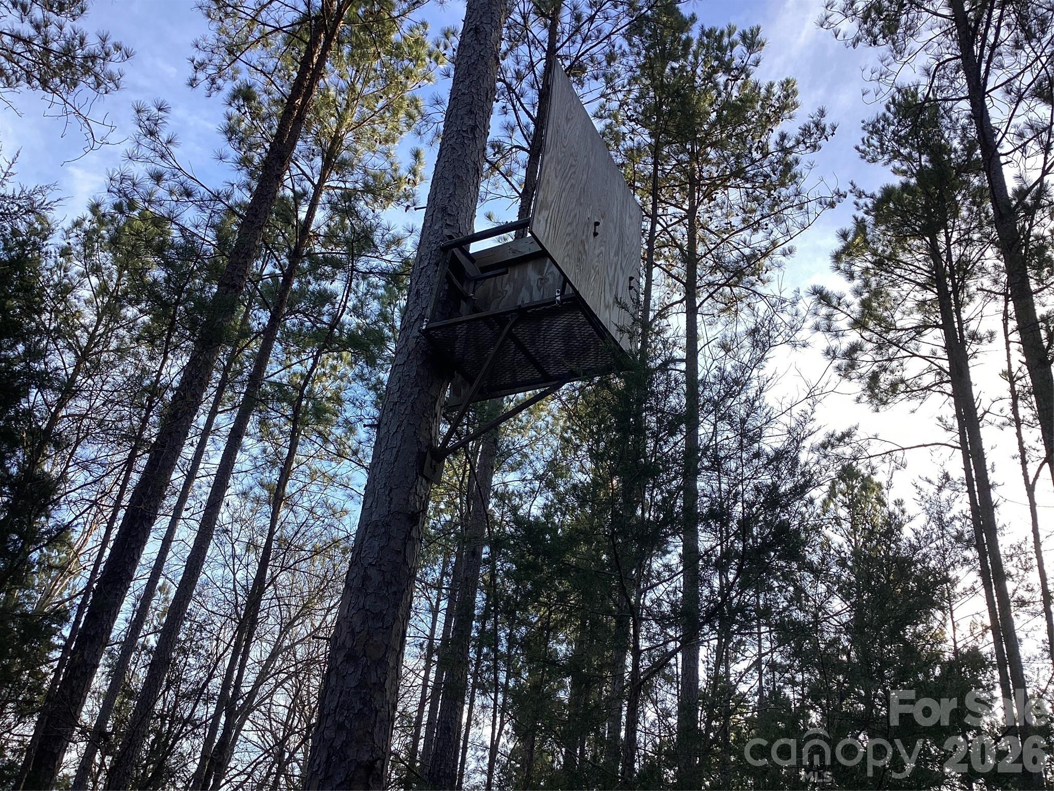 0 Pathway Lane Chester, SC 29706 - Photo 11 of 36