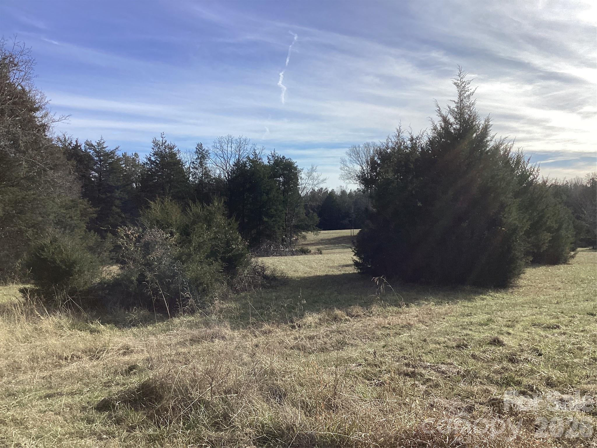 0 Pathway Lane Chester, SC 29706 - Photo 12 of 36