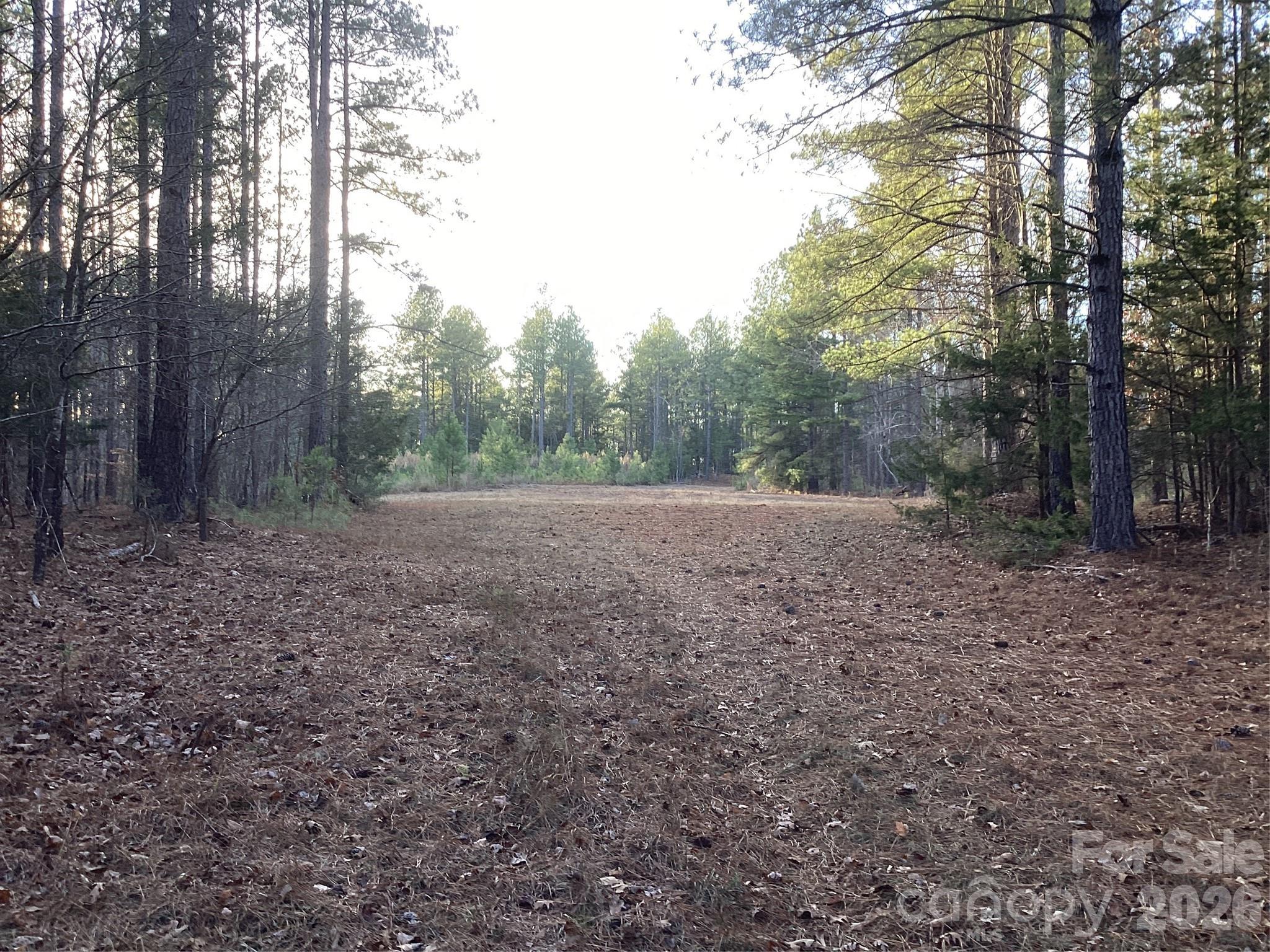 0 Pathway Lane Chester, SC 29706 - Photo 13 of 36