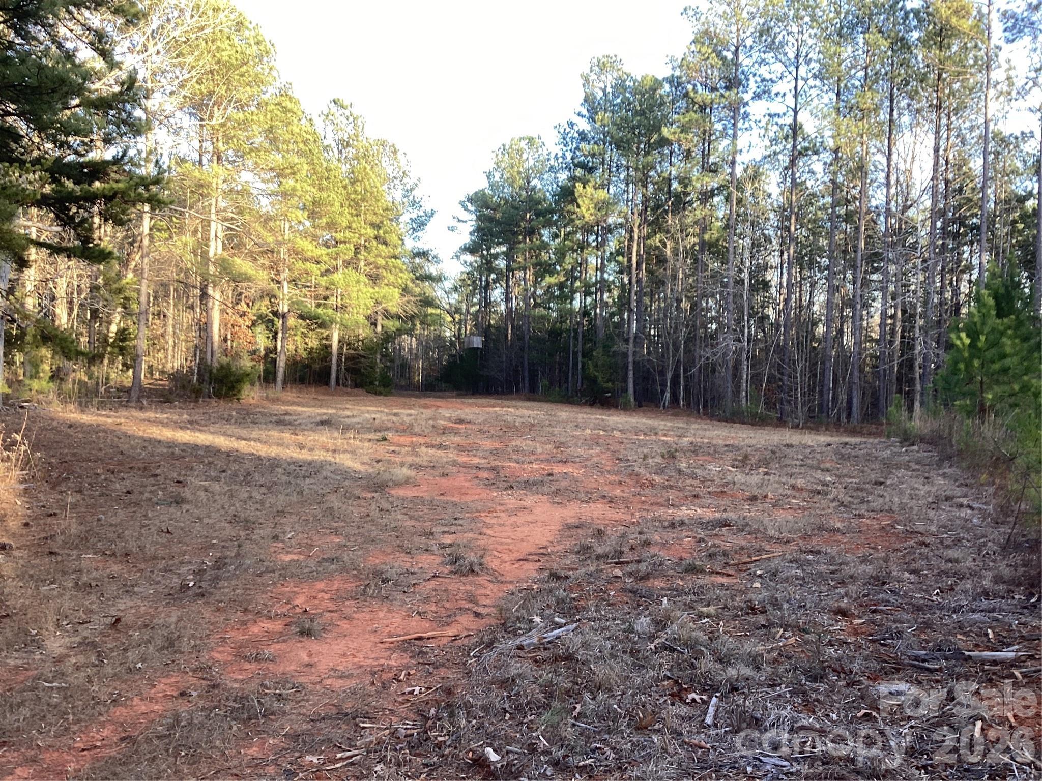 0 Pathway Lane Chester, SC 29706 - Photo 14 of 36
