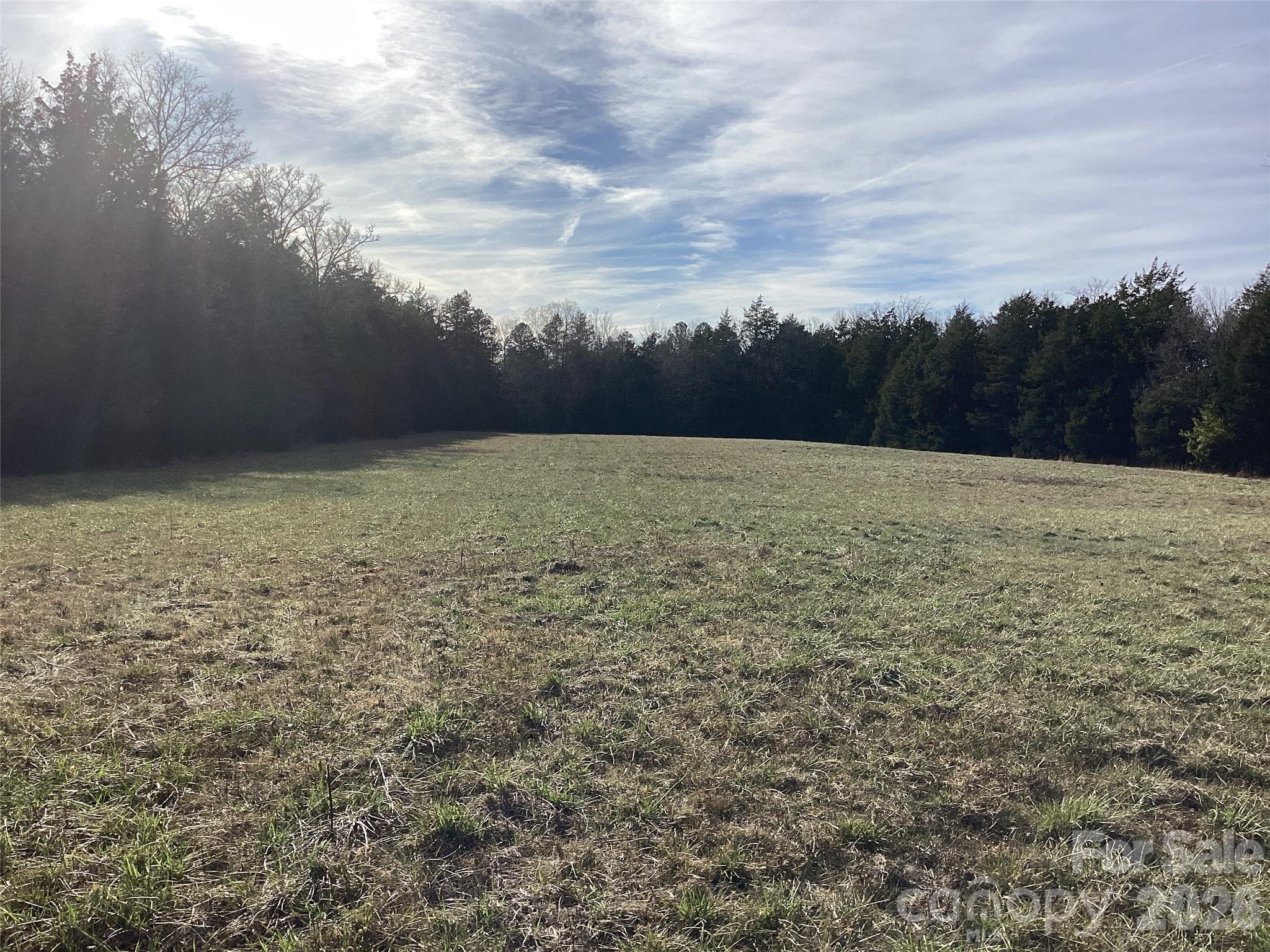 0 Pathway Lane Chester, SC 29706 - Photo 15 of 36