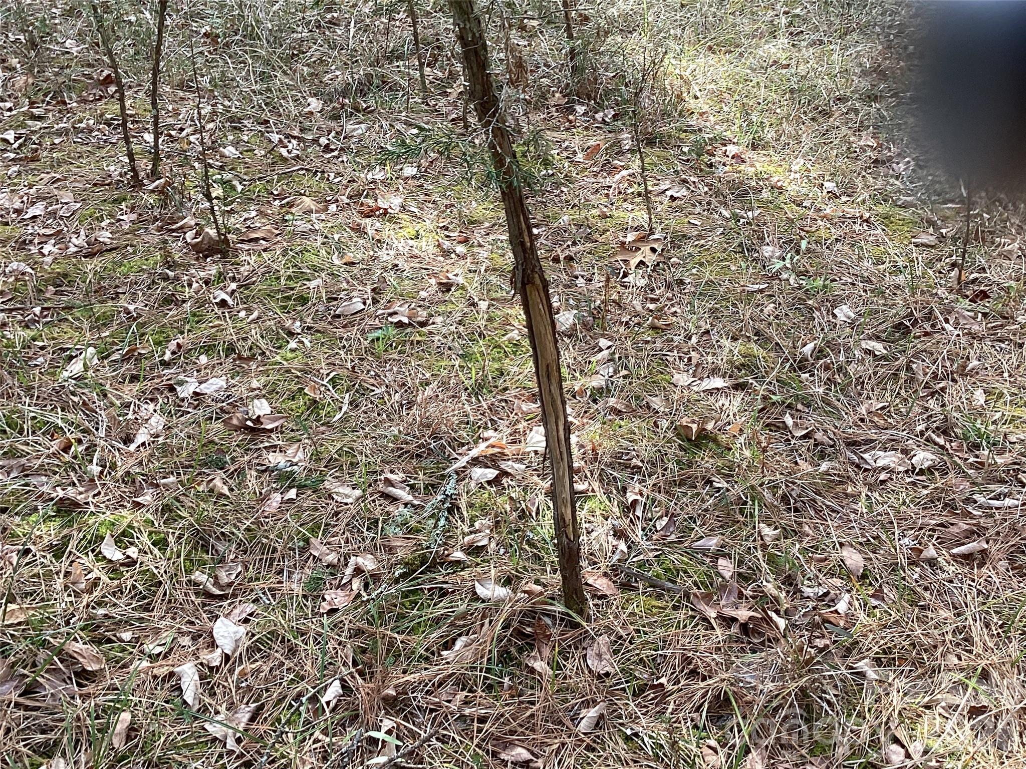 0 Pathway Lane Chester, SC 29706 - Photo 21 of 36