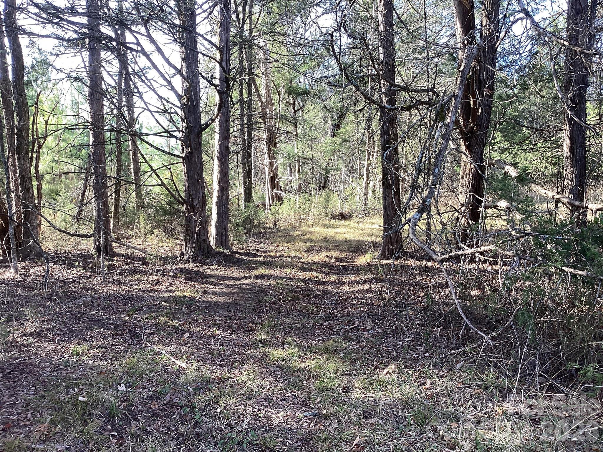 0 Pathway Lane Chester, SC 29706 - Photo 22 of 36