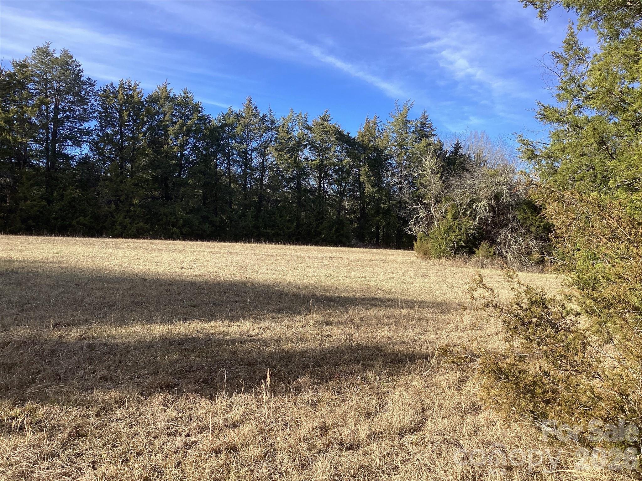 0 Pathway Lane Chester, SC 29706 - Photo 23 of 36