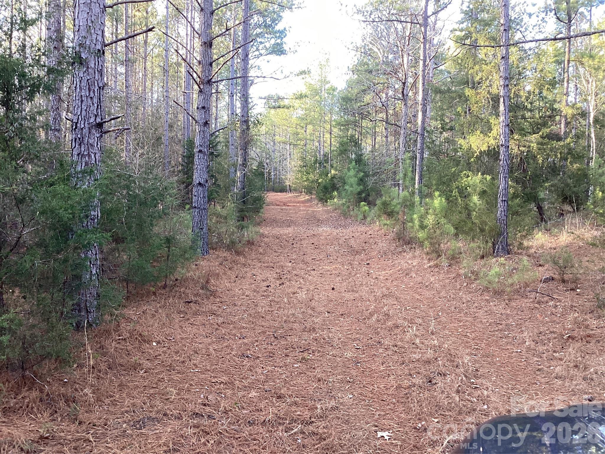 0 Pathway Lane Chester, SC 29706 - Photo 25 of 36