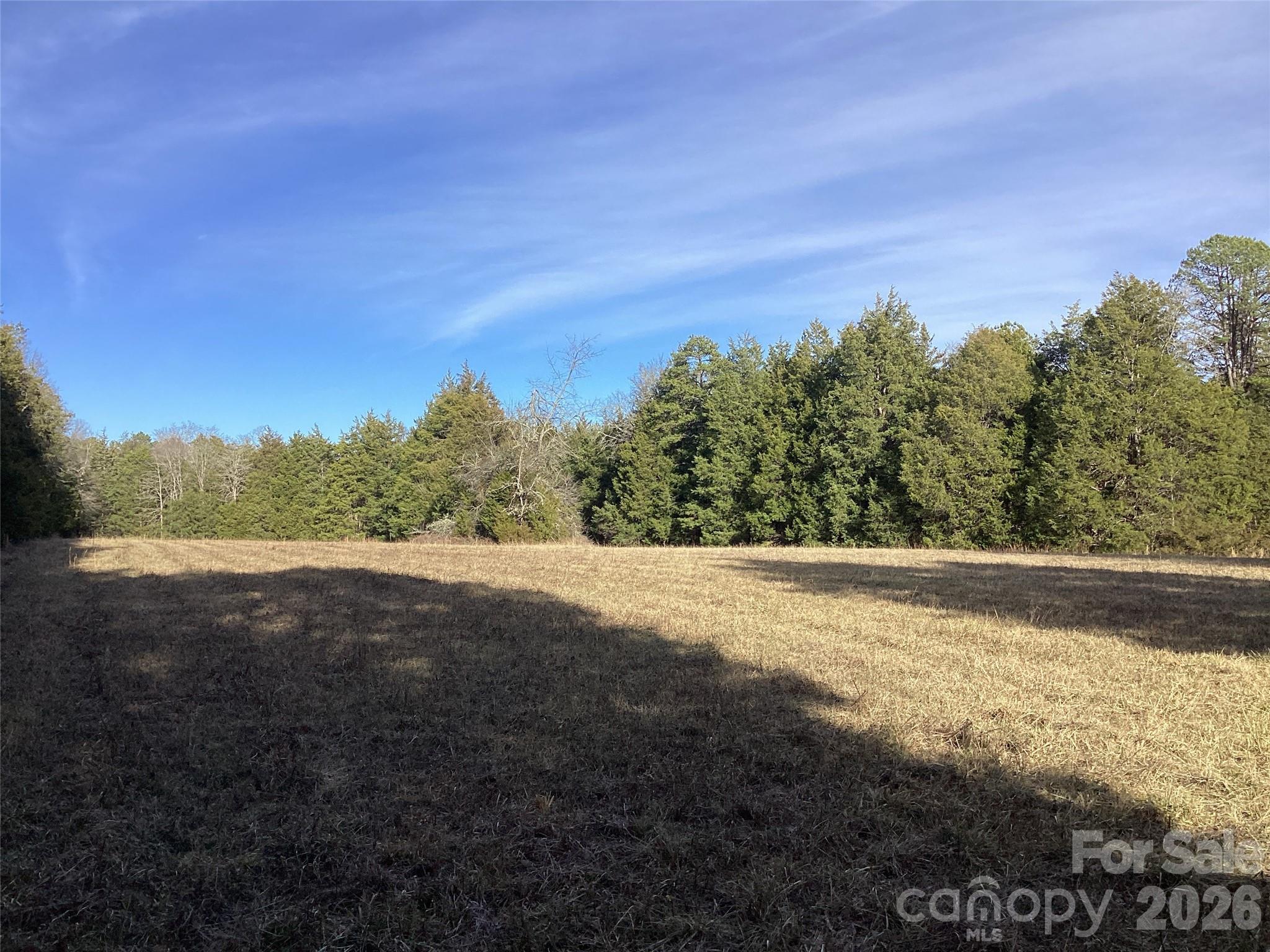 0 Pathway Lane Chester, SC 29706 - Photo 28 of 36