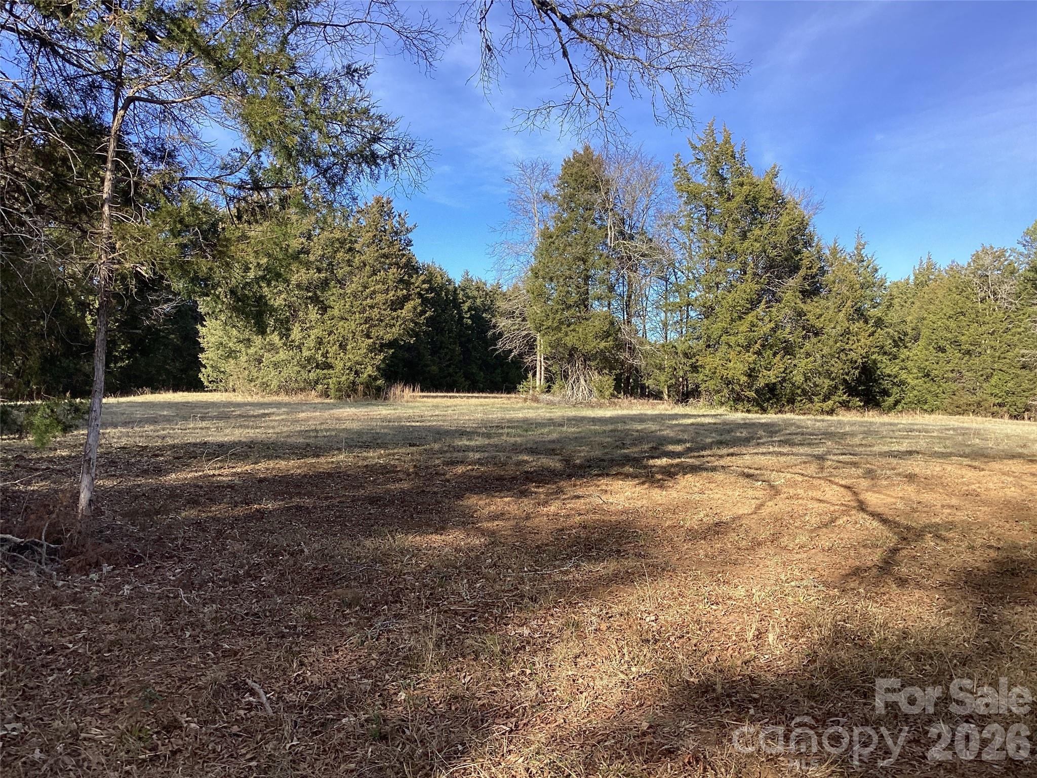 0 Pathway Lane Chester, SC 29706 - Photo 29 of 36