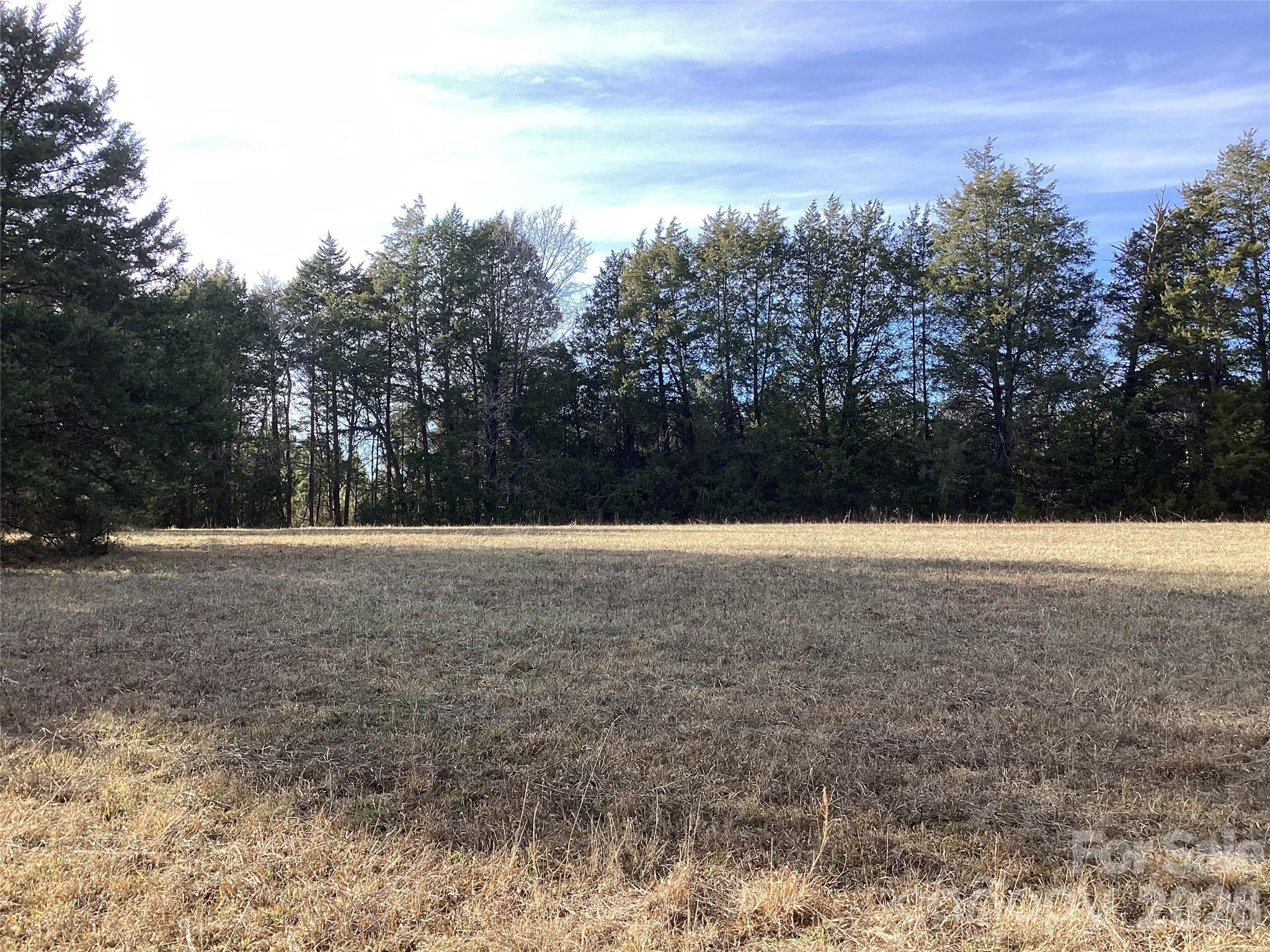 0 Pathway Lane Chester, SC 29706 - Photo 30 of 36