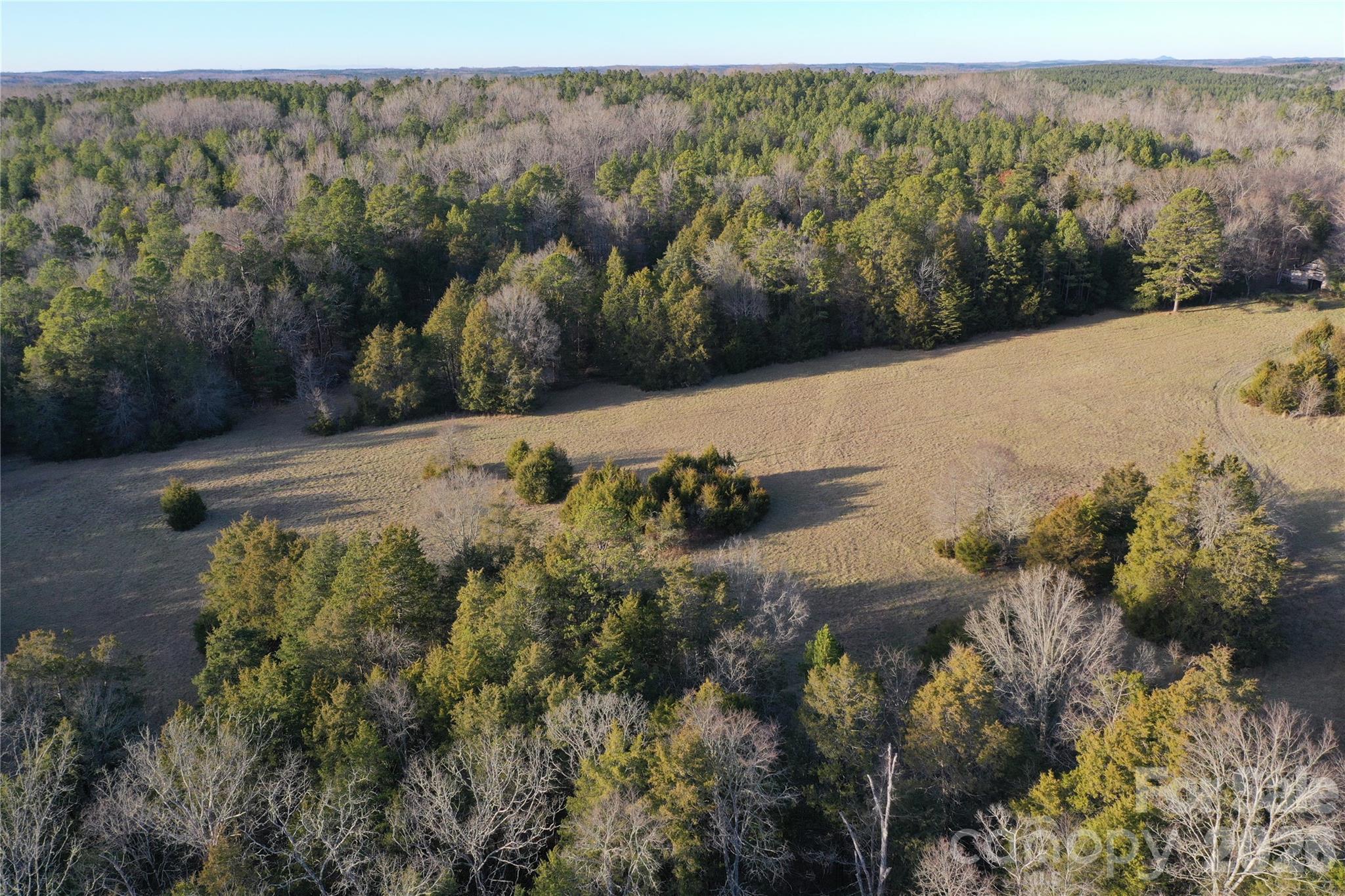 0 Pathway Lane Chester, SC 29706 - Photo 3 of 36