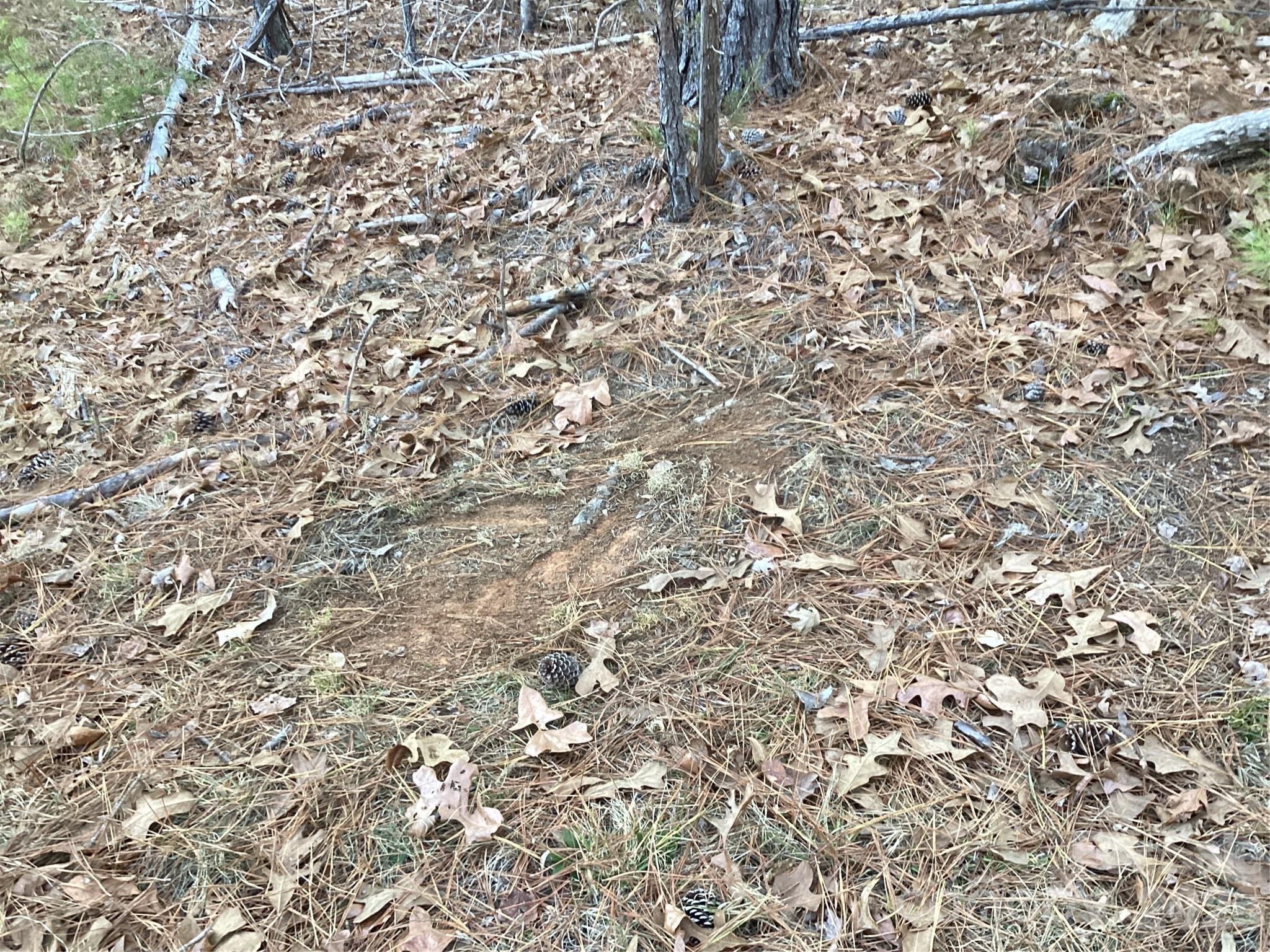 0 Pathway Lane Chester, SC 29706 - Photo 31 of 36