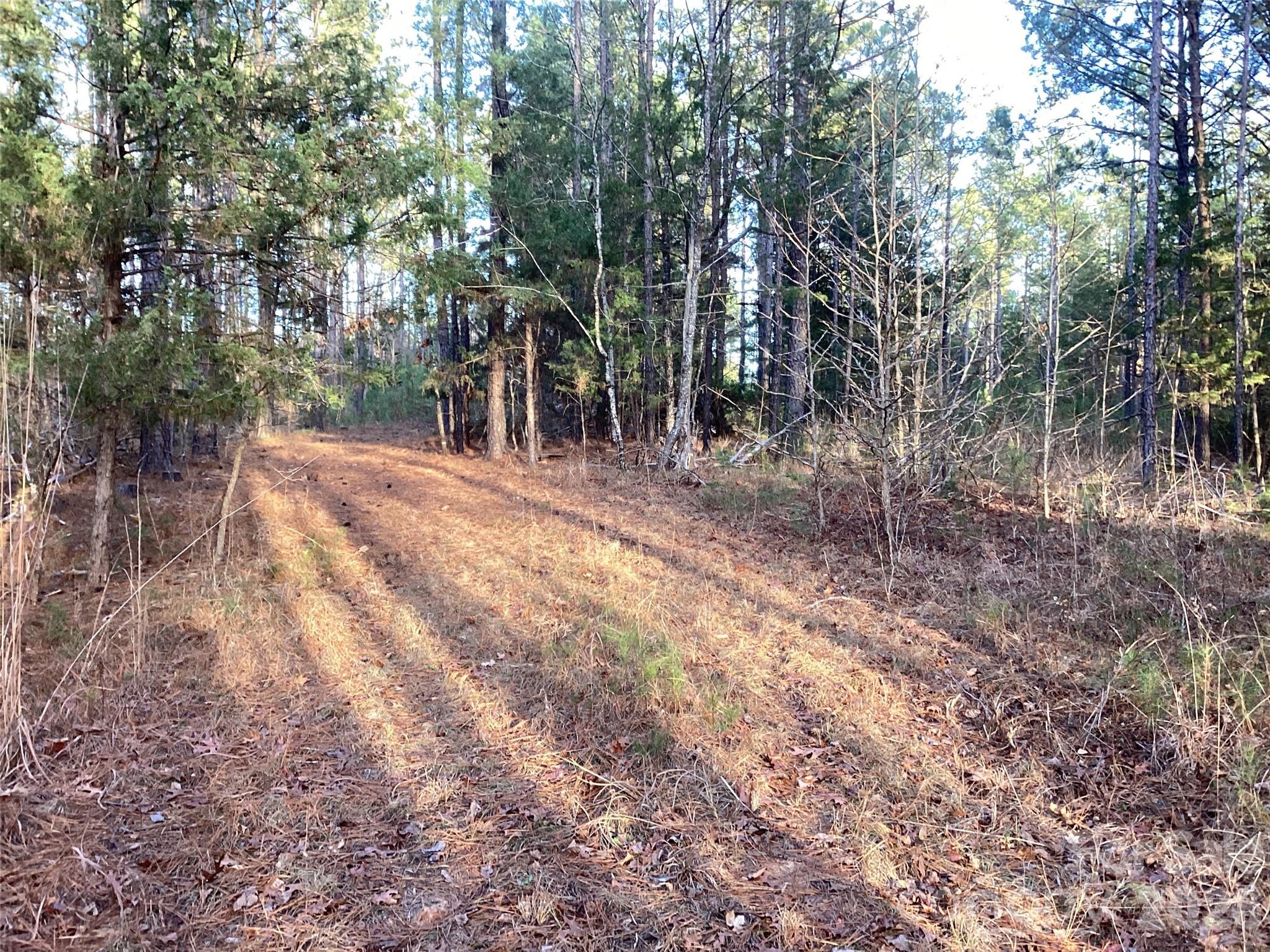 0 Pathway Lane Chester, SC 29706 - Photo 32 of 36