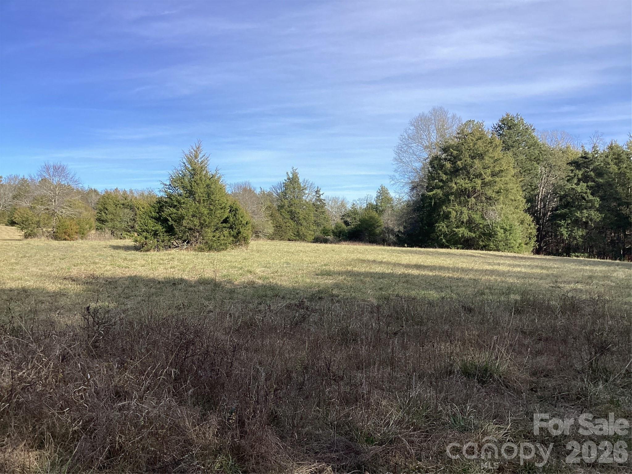 0 Pathway Lane Chester, SC 29706 - Photo 33 of 36