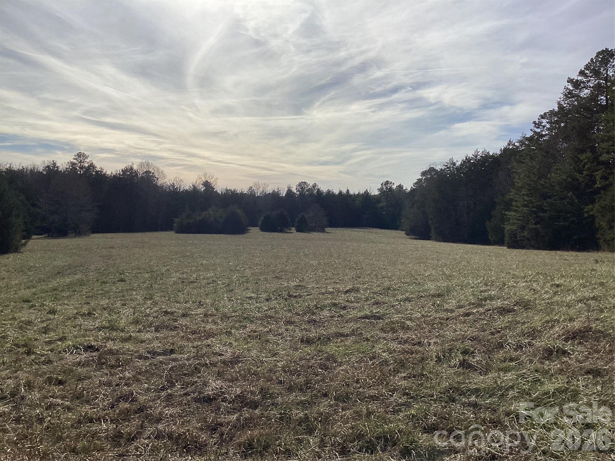 0 Pathway Lane Chester, SC 29706 - Photo 34 of 36