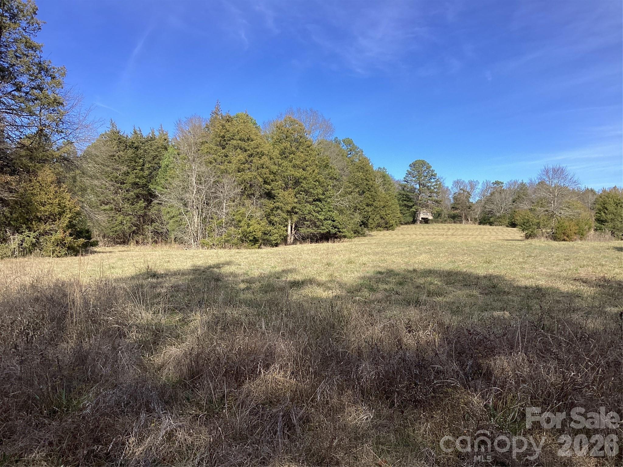 0 Pathway Lane Chester, SC 29706 - Photo 36 of 36