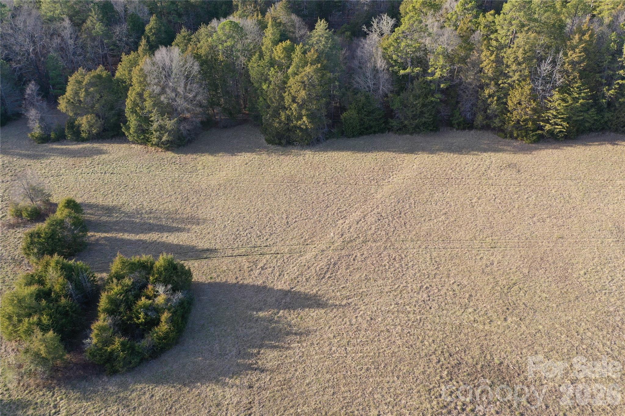0 Pathway Lane Chester, SC 29706 - Photo 4 of 36