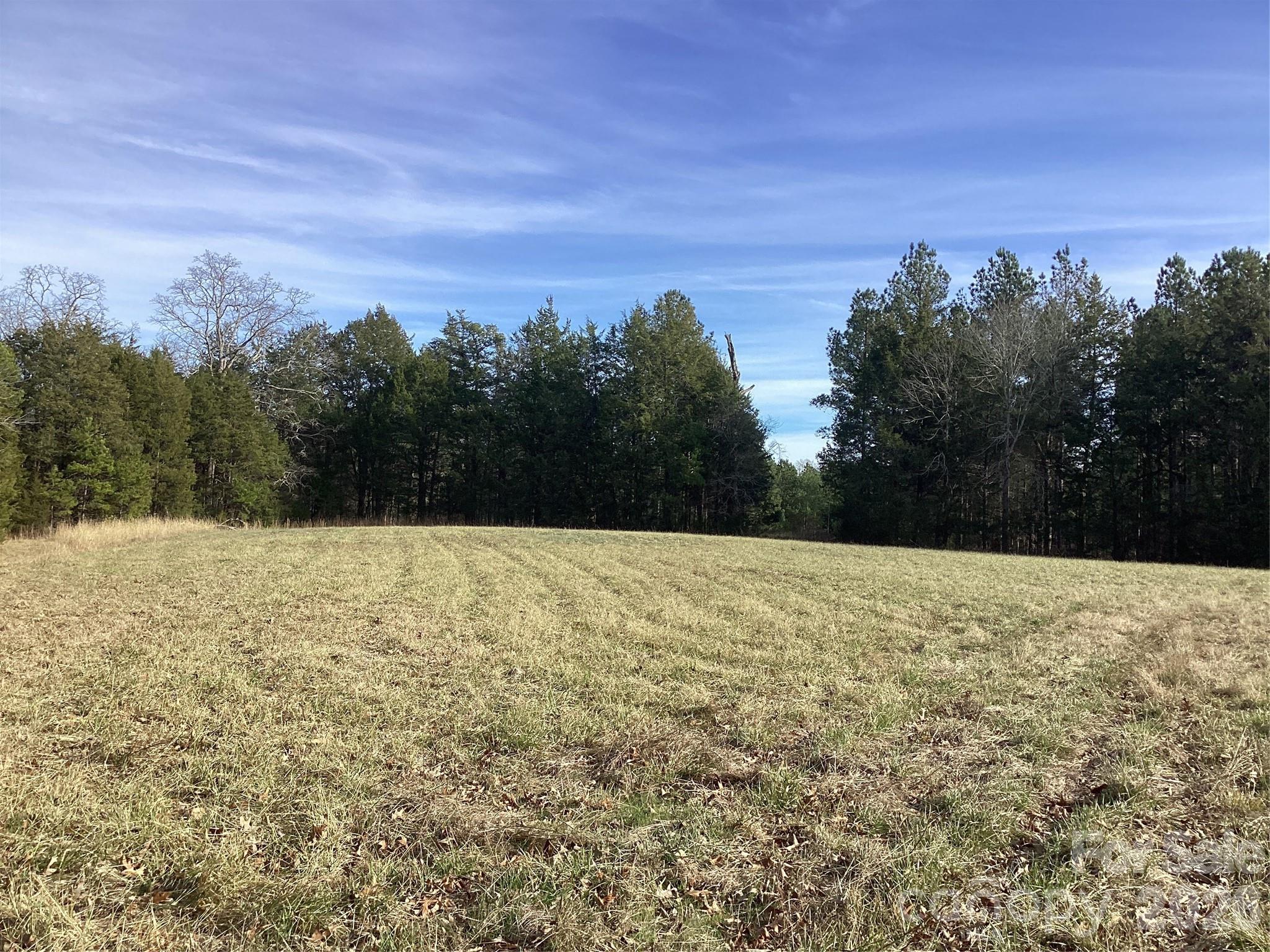 0 Pathway Lane Chester, SC 29706 - Photo 6 of 36