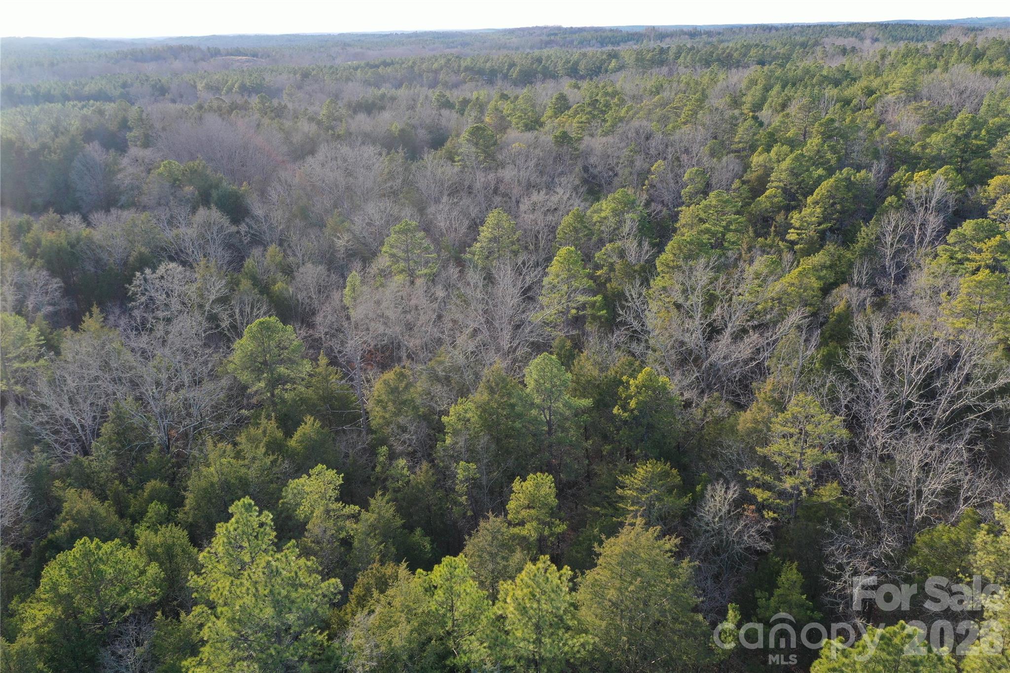 0 Pathway Lane Chester, SC 29706 - Photo 7 of 36