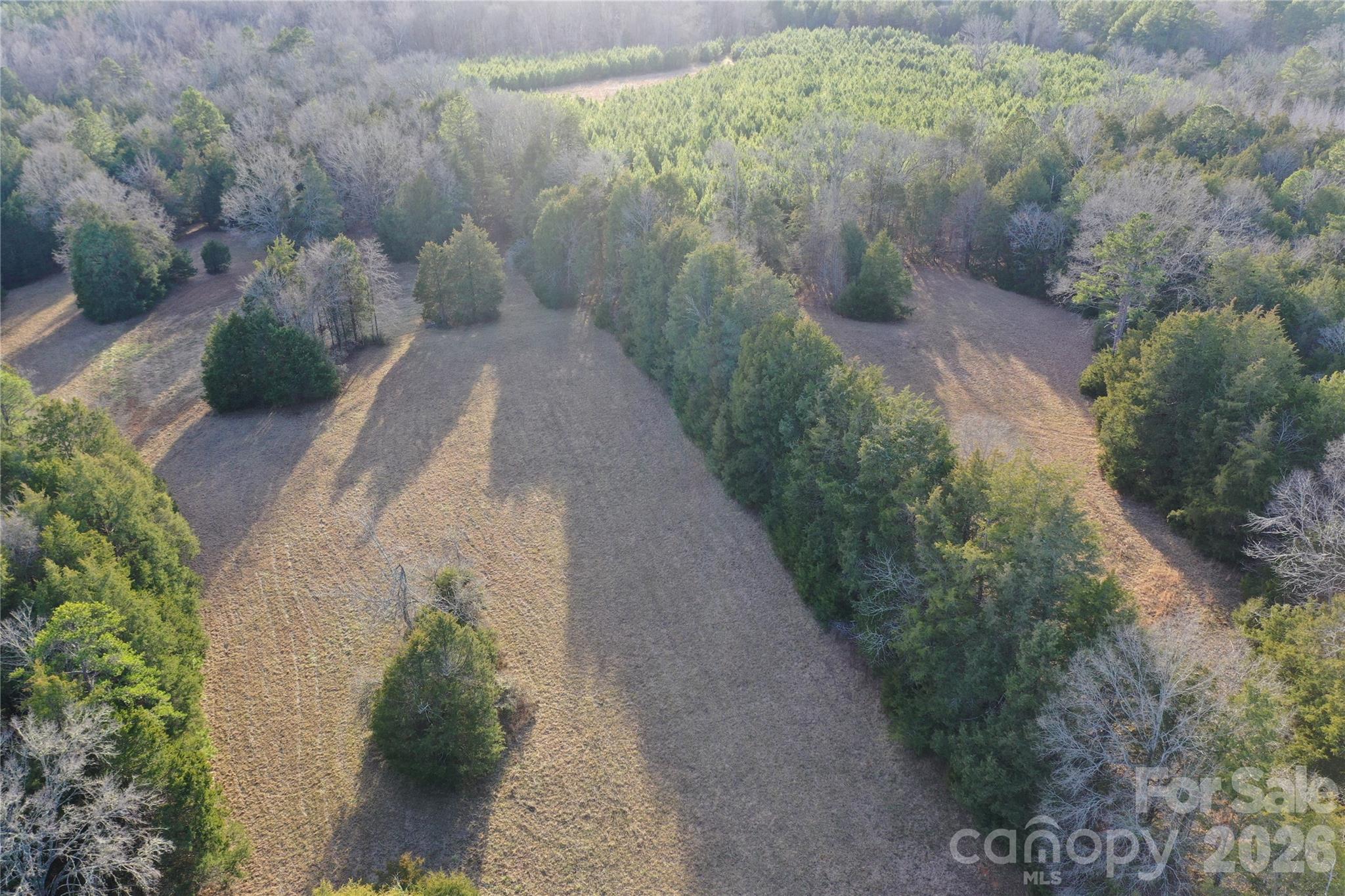 0 Pathway Lane Chester, SC 29706 - Photo 8 of 36