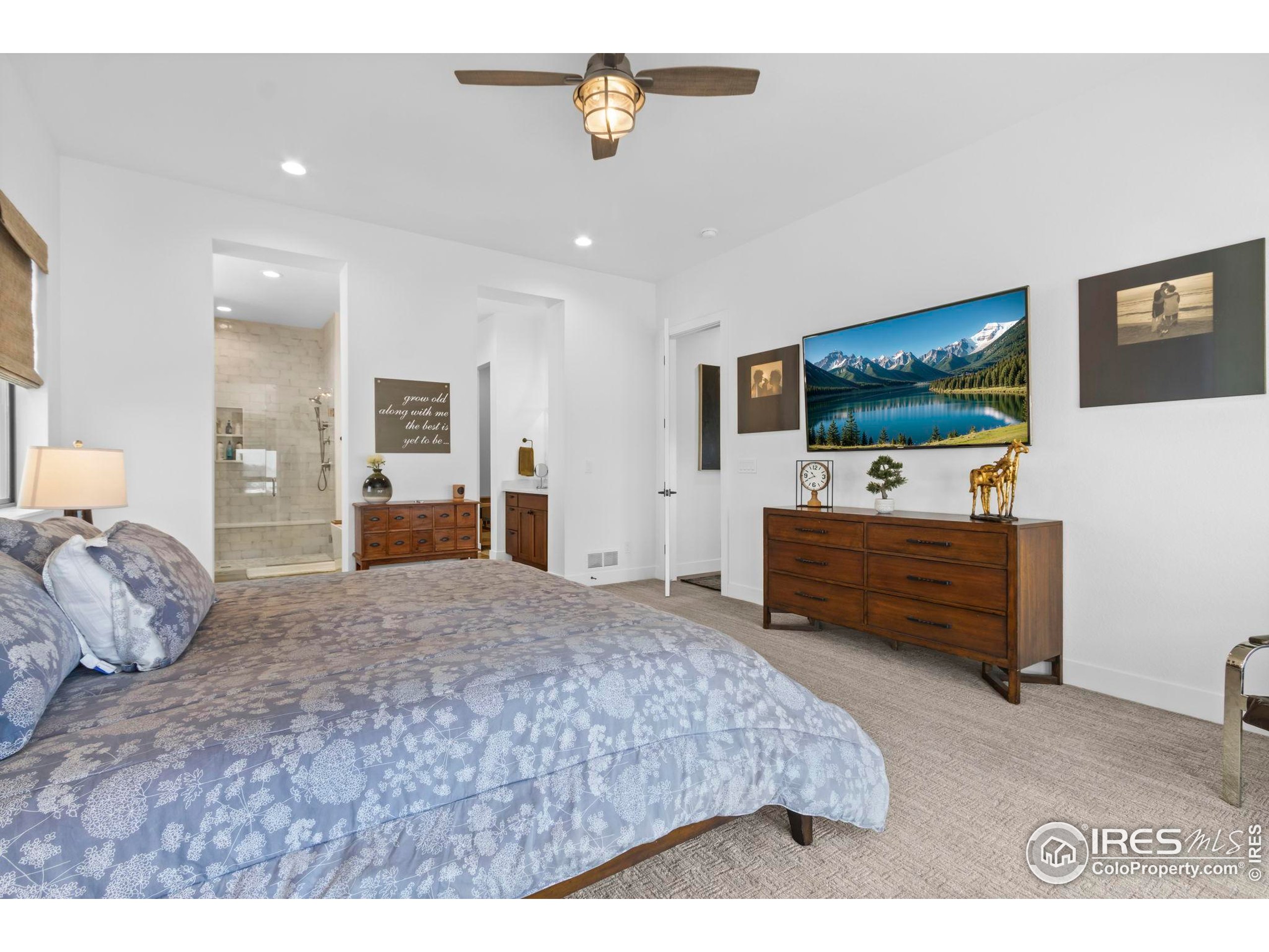 1907 Spring Bloom Drive Windsor, CO 80550 - Photo 13 of 49