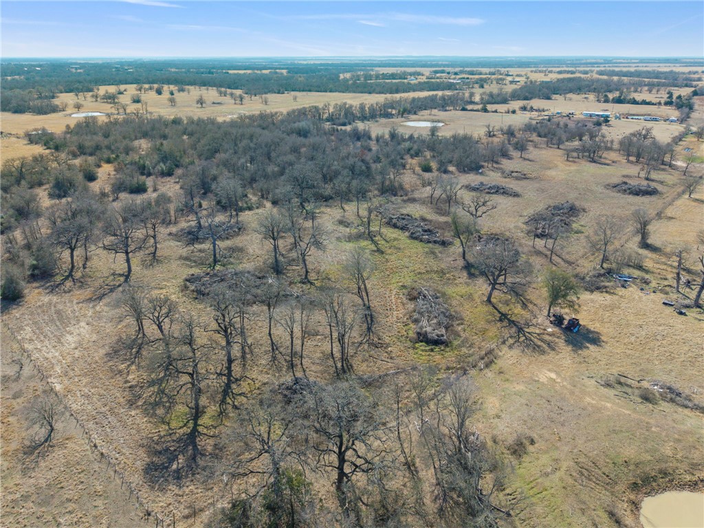 10065 John Cotton Road Calvert, TX 77837 - Photo 16 of 22 a view of city and mountain