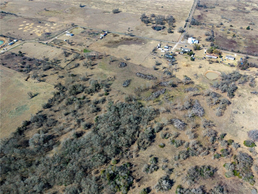 10065 John Cotton Road Calvert, TX 77837 - Photo 18 of 22 a view of a dry yard with lots of trees