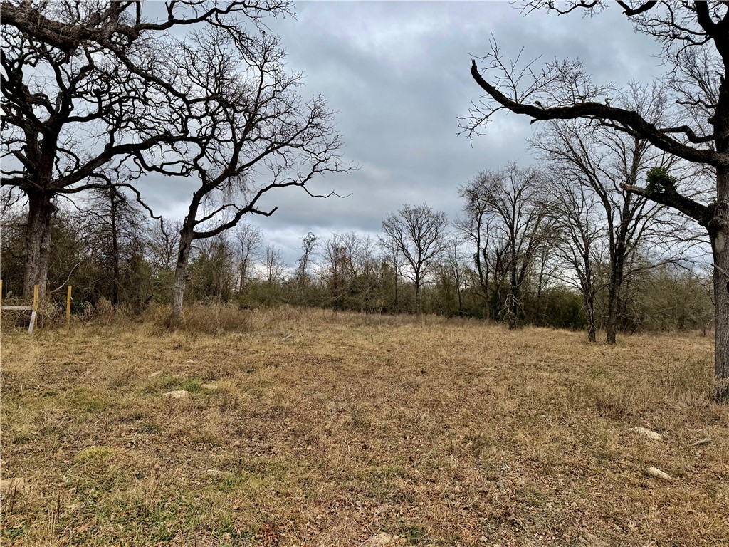 10065 John Cotton Road Calvert, TX 77837 - Photo 4 of 22 a backyard of a house with lots of green space