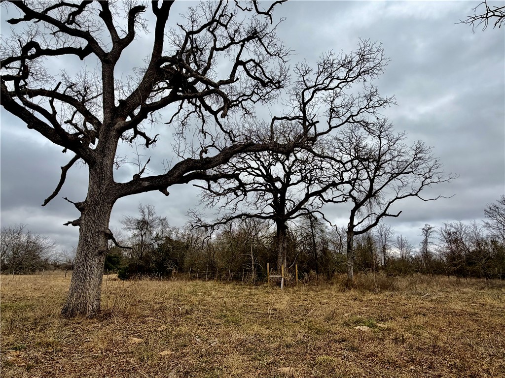 10065 John Cotton Road Calvert, TX 77837 - Photo 5 of 22 a view of a yard covered with snow in the outdoor