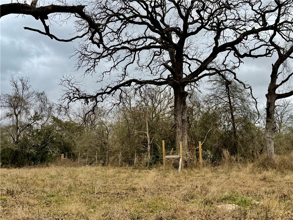 10065 John Cotton Road Calvert, TX 77837 - Photo 6 of 22 a backyard of a house with lots of green space