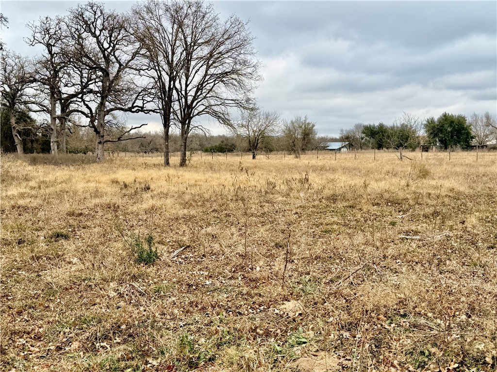 10065 John Cotton Road Calvert, TX 77837 - Photo 7 of 22 a view of yard covered with snow