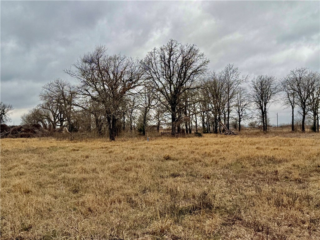 10065 John Cotton Road Calvert, TX 77837 - Photo 9 of 22 a view of yard with trees