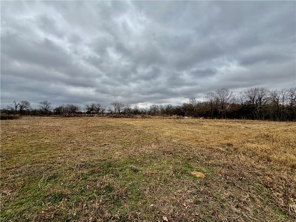 10065 John Cotton Road Calvert, TX 77837 - Photo 10 of 22 a view of a lake view