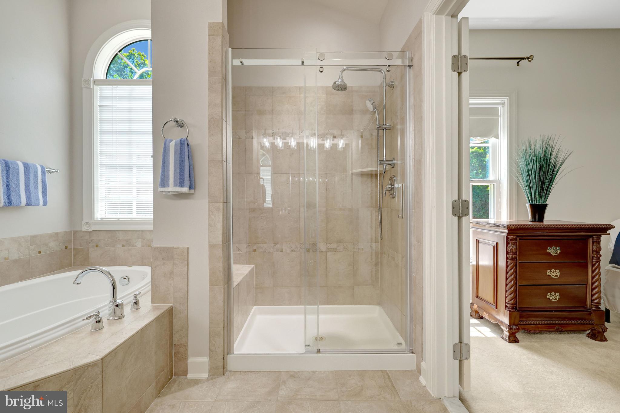 13650 Independence Ridge Nokesville, VA 20181 - Photo 42 of 98 Spacious Walk-In Shower with Frameless Glass Door