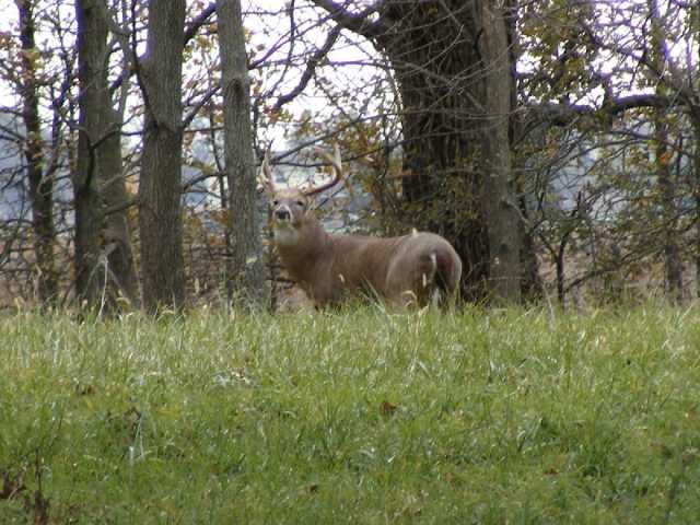 8300 M V High Road Plain City, OH 43064 - Photo 13 of 14 Additional Photo