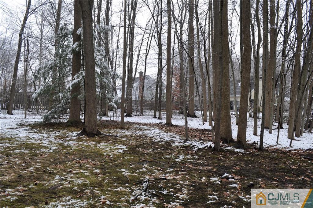 449 Cottrell Road Old Bridge, NJ 08857 - Photo 16 of 17 a view of a forest with trees