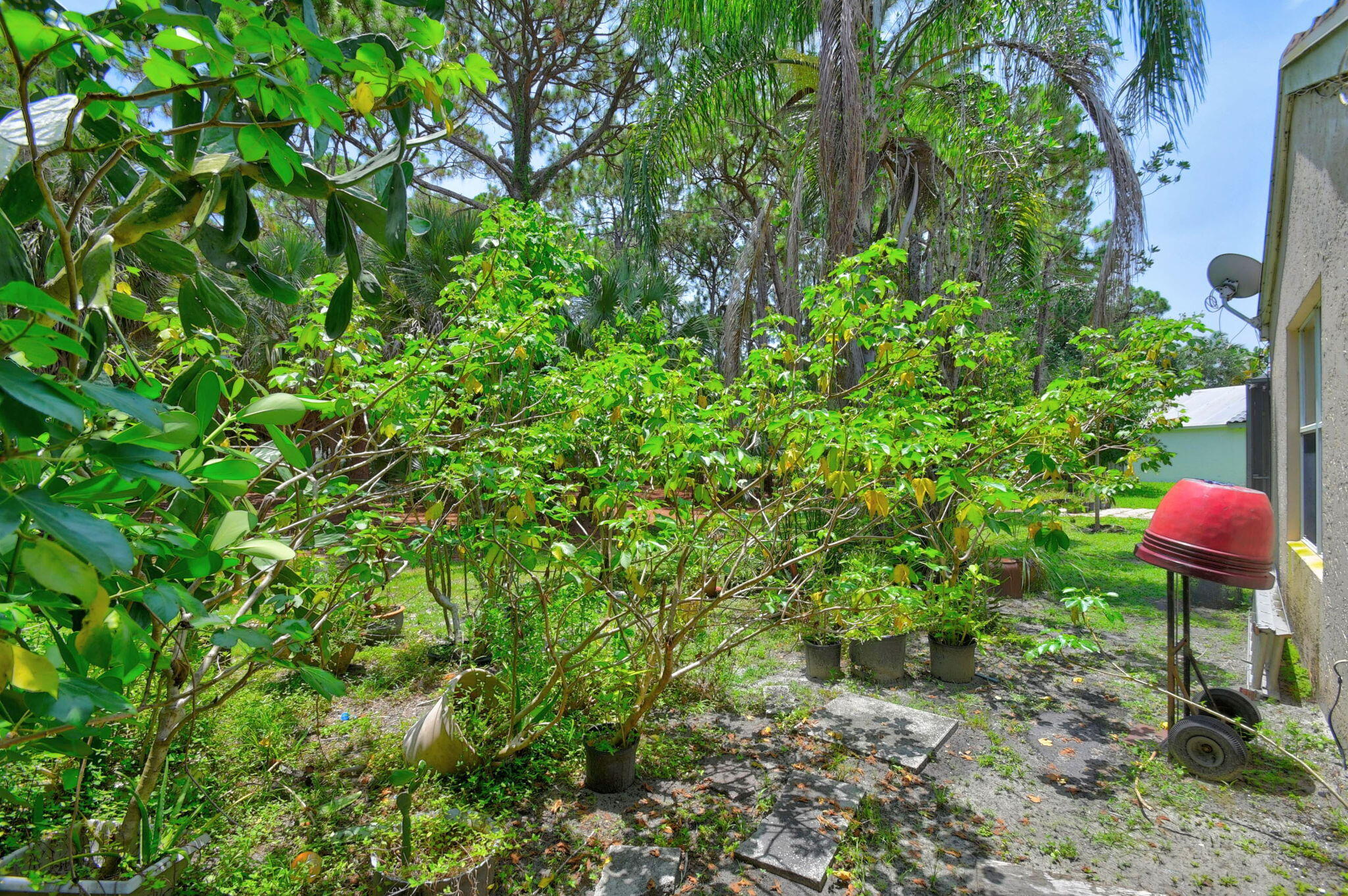8332 Bermuda Sound Way Boynton Beach, FL 33436 - Photo 39 of 67 37-web-or-mls-DSC_5520