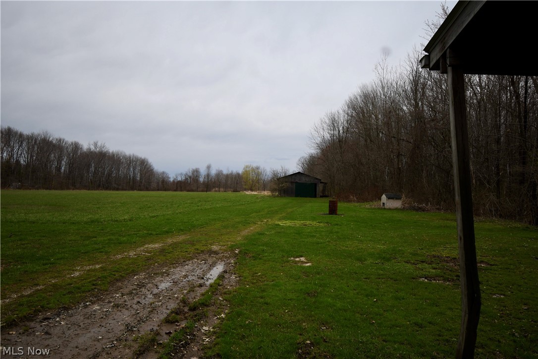 3587 Dayton Road Madison, OH 44057 - Photo 8 of 9 Ten acres