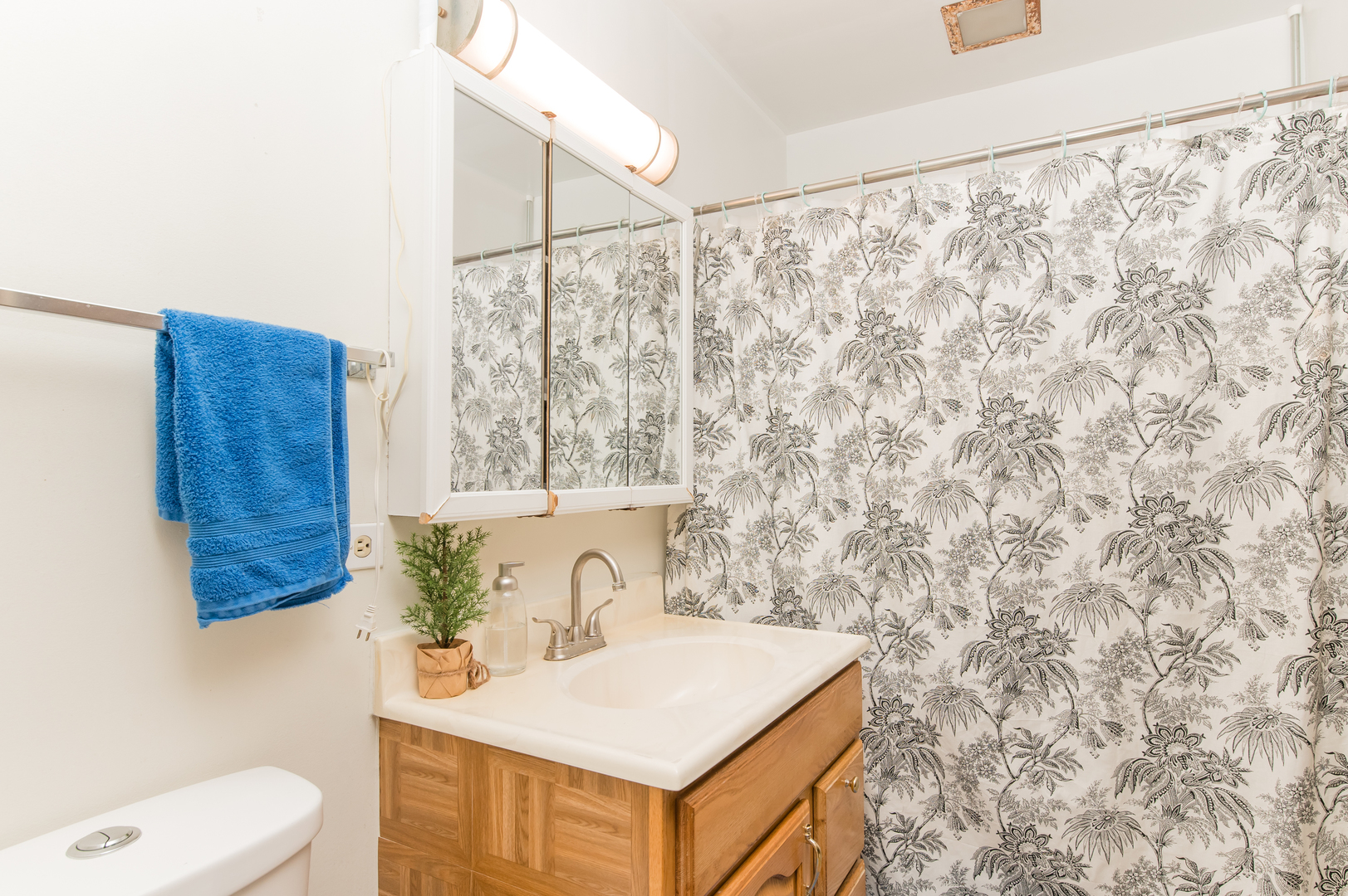 765 Terrace Court, Unit 206 Elgin, IL 60120 - Photo 19 of 31 a bathroom with a sink a toilet and a mirror