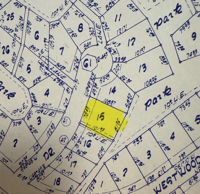 Tbd15 Heatley Street Trinity, TX 75862 - Photo 1 of 2