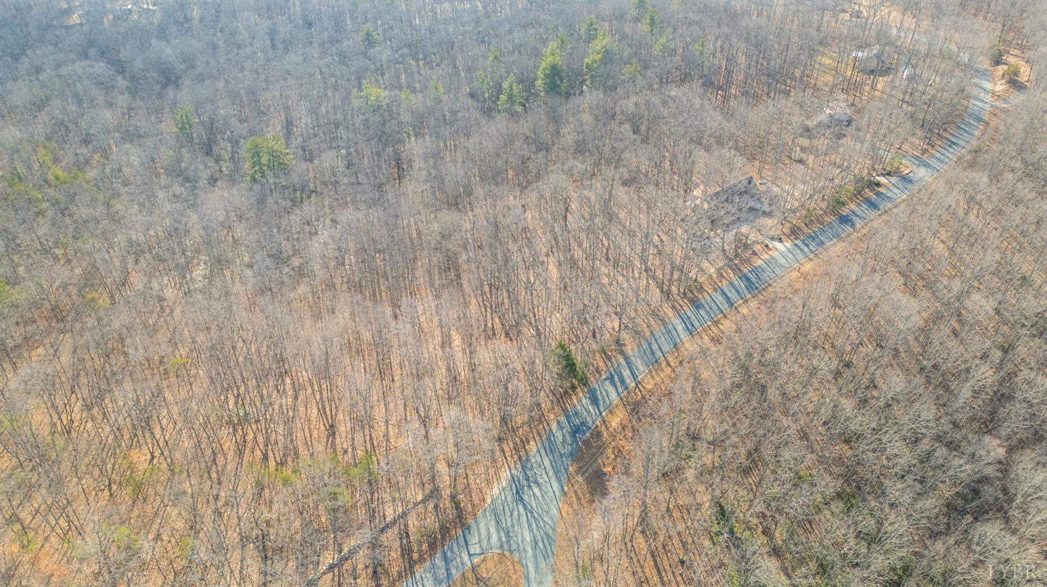 556 Pendleton Drive Amherst, VA 24521 - Photo 54 of 78 Gallery Image 54